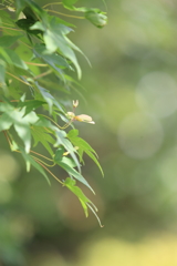 陽のあたたかさ