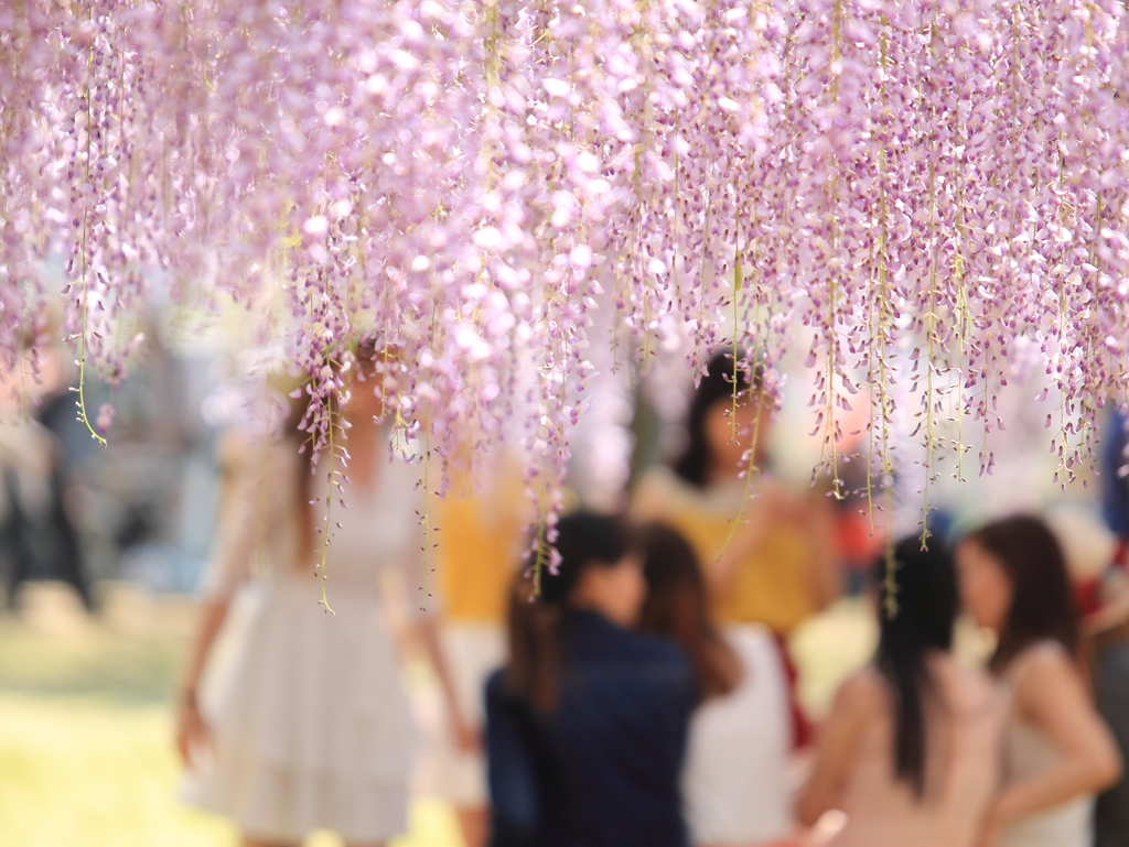 宴