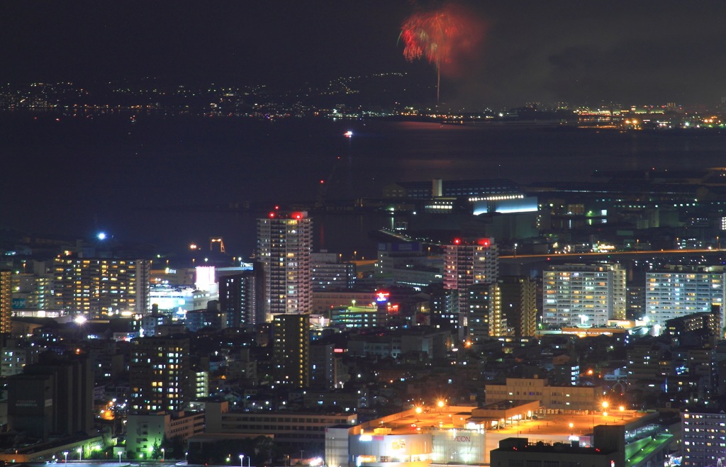 遠き夜空の千輪菊