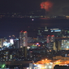遠き夜空の千輪菊