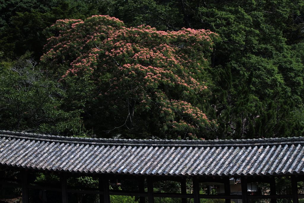 吉備津神社