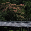 吉備津神社