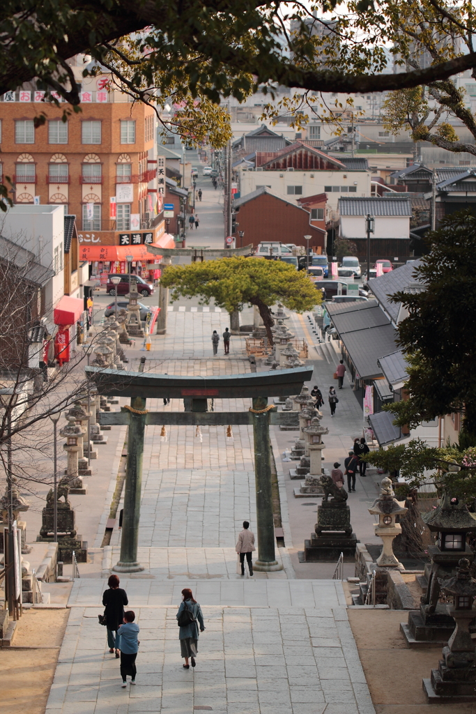 梅香る参道