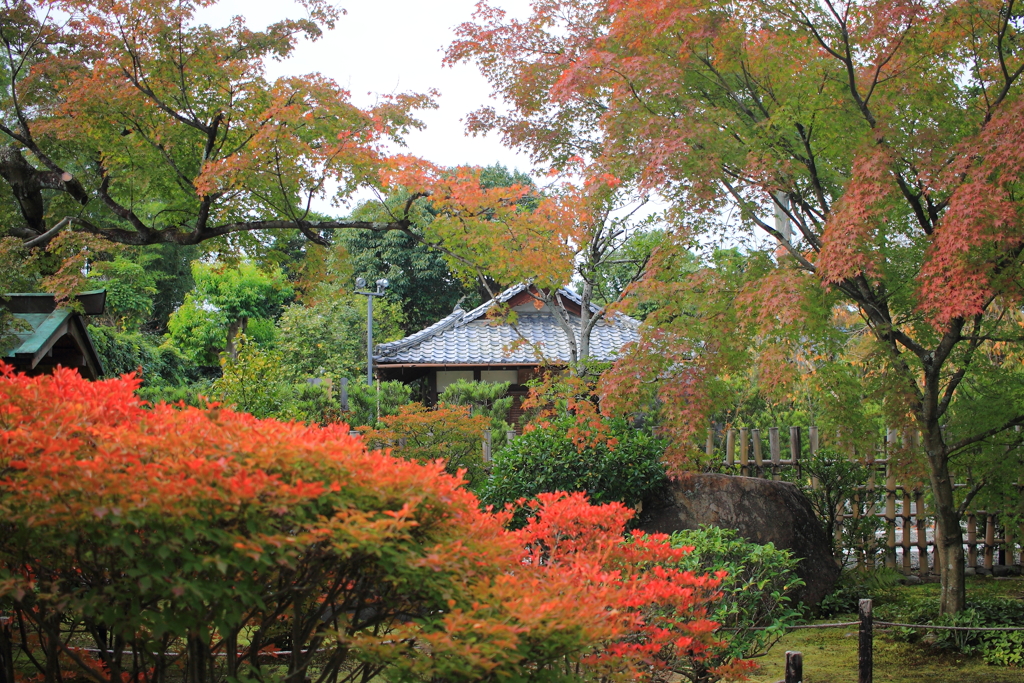 妙心寺大法院