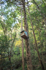 森の巣箱