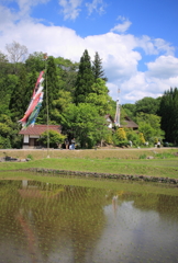 ひばの里は五月晴れ