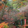 晩秋の三瀧寺