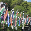 山賊ドライブ　1