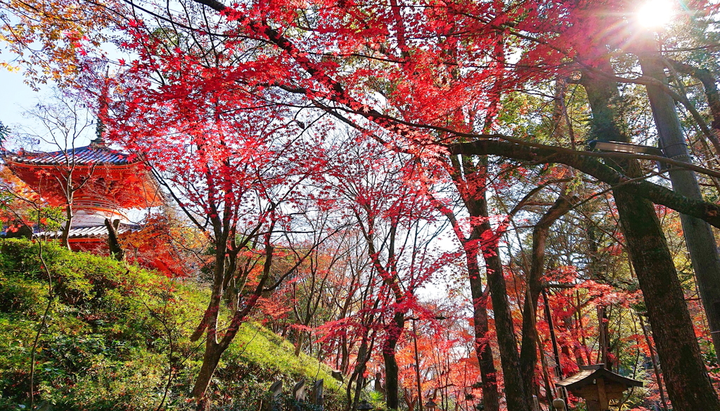 山寺の錦