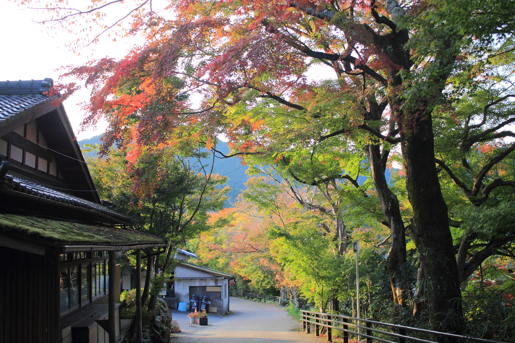 大原の里