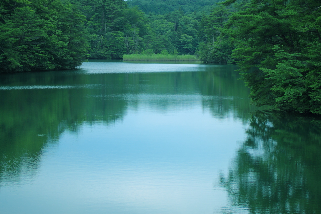生命の水辺