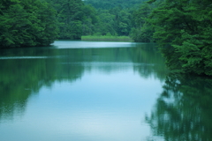 生命の水辺