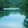 生命の水辺