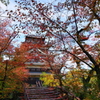 秋の広島城