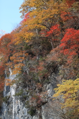帝釈峡の秋