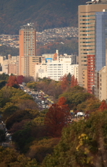 比治山からの眺め