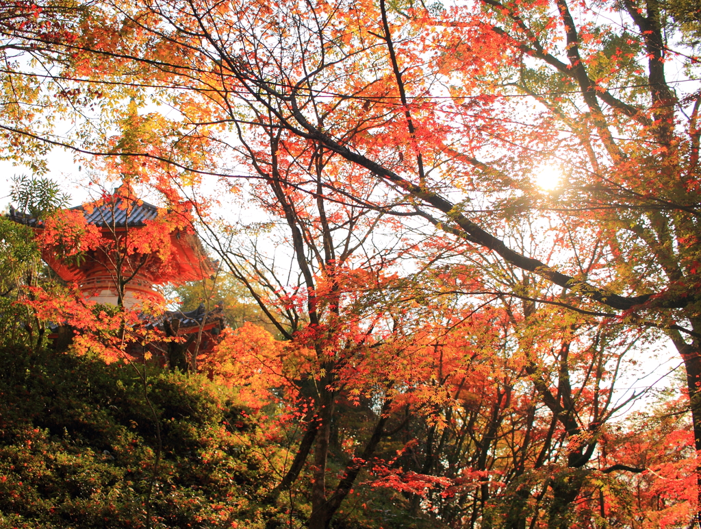 三瀧寺の秋