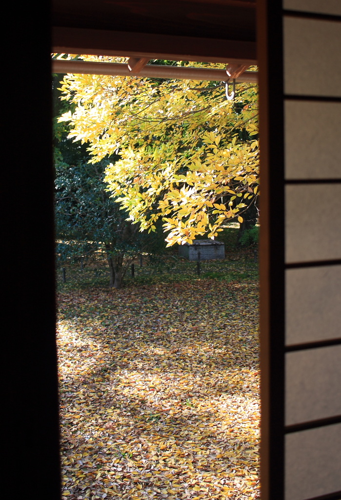 障子からの秋景