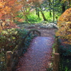 森の小径