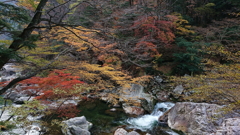 三段峡スマホ撮り♪