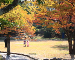 晴れの良き日