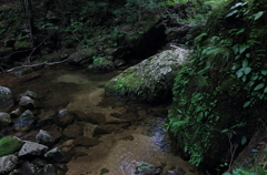 緑の水源