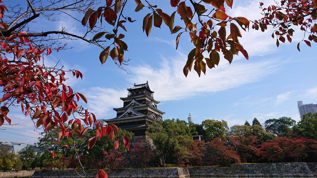 桜紅葉と広島城