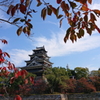 桜紅葉と広島城