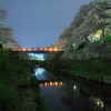 山崎川の思い出
