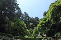 初夏の吉水園