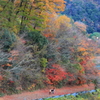 奥山の遊歩道