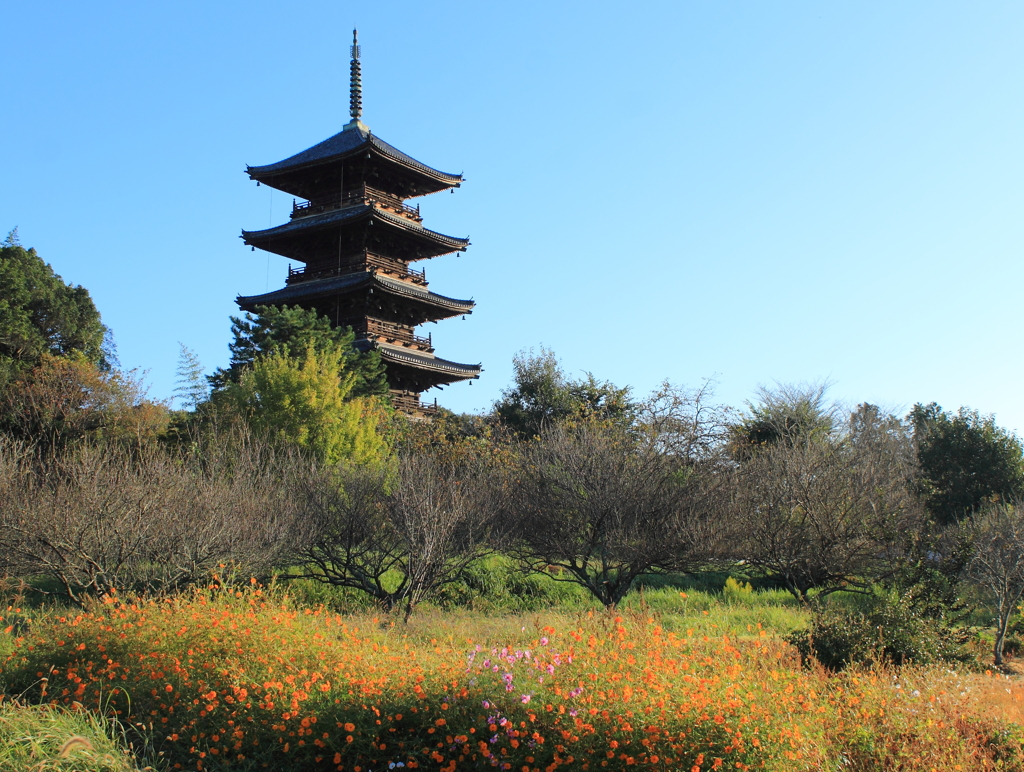 秋の国分寺