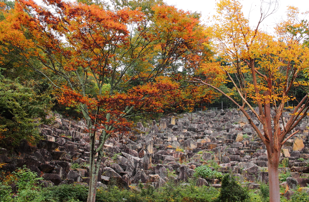 ＳＡの転石庭園