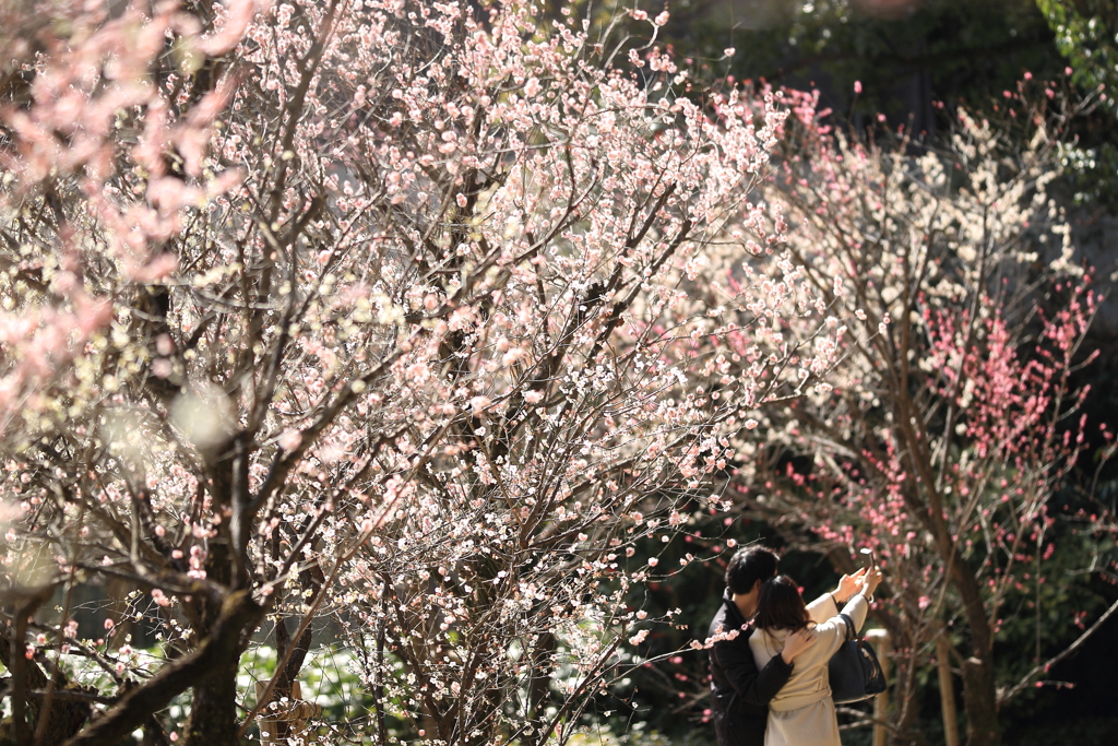 お幸せに♡