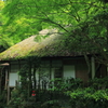 苔むす藁葺き