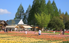 花の香りに包まれて