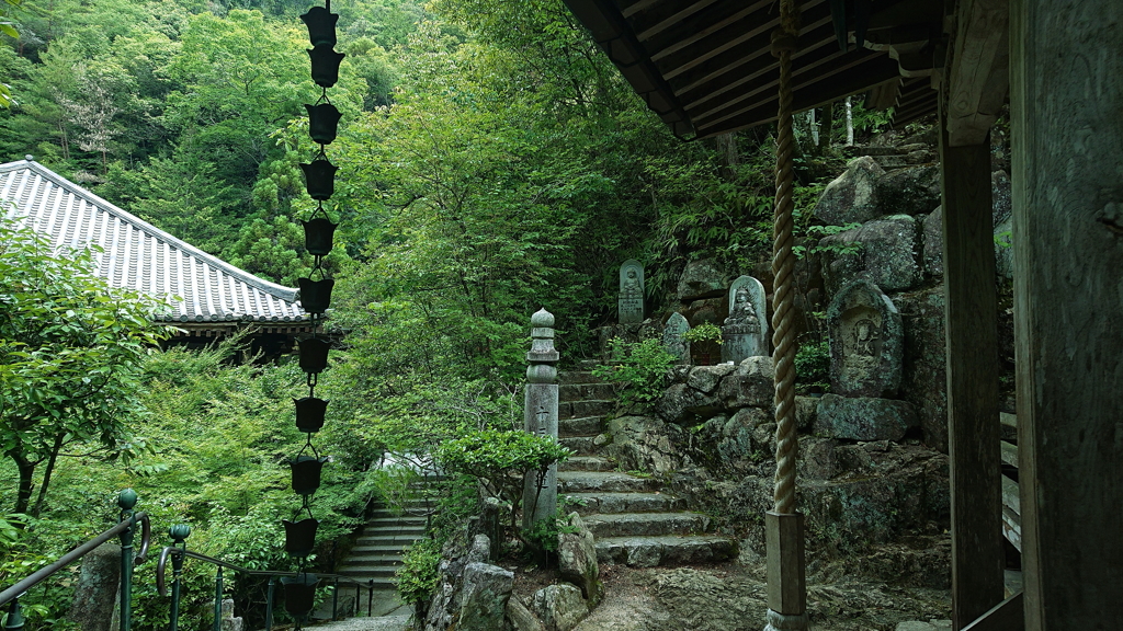 地蔵寺の初夏