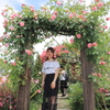 Beautiful Rose(*^^*)