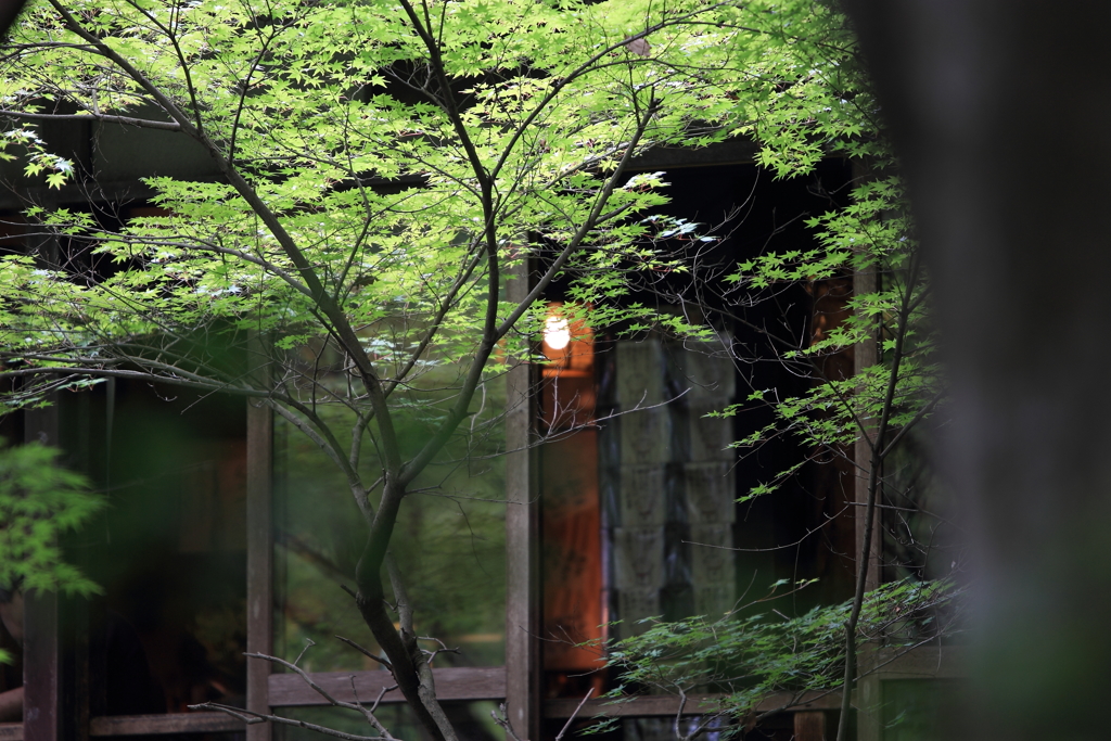 深緑の茶屋