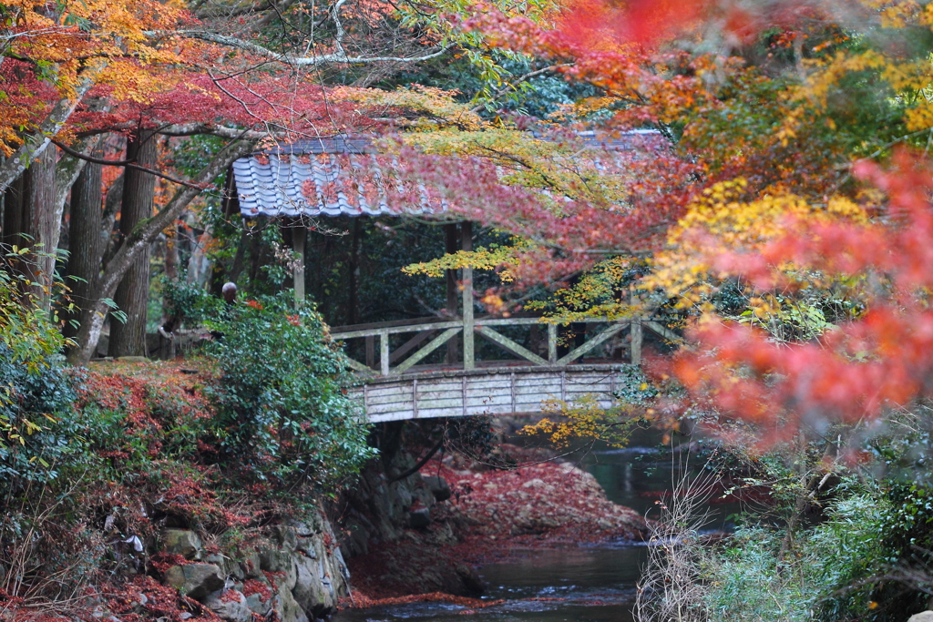 秋の佛通寺