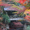 秋の佛通寺