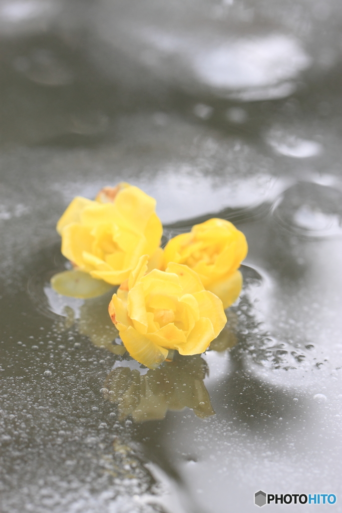 薄氷
