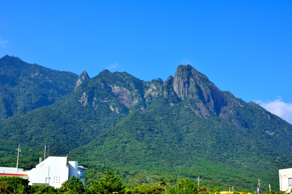 晴れた山