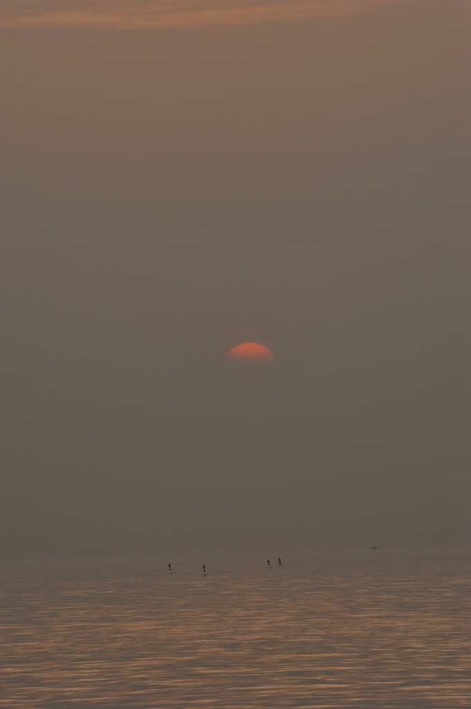 霞