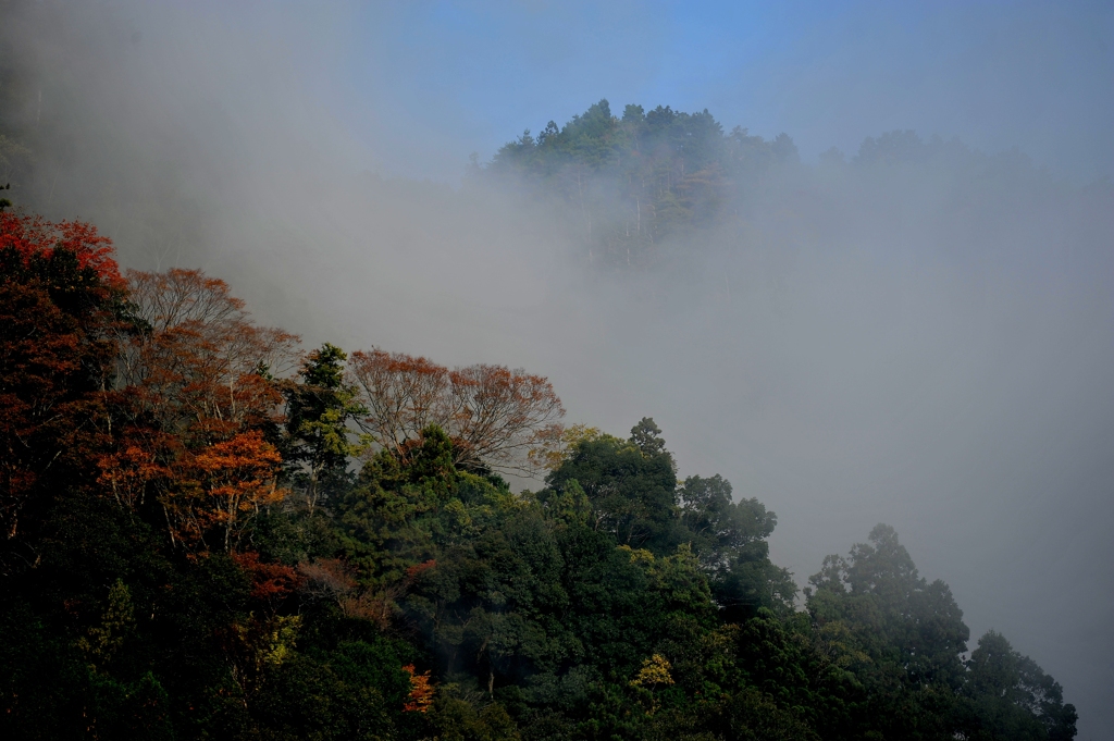 雲の上