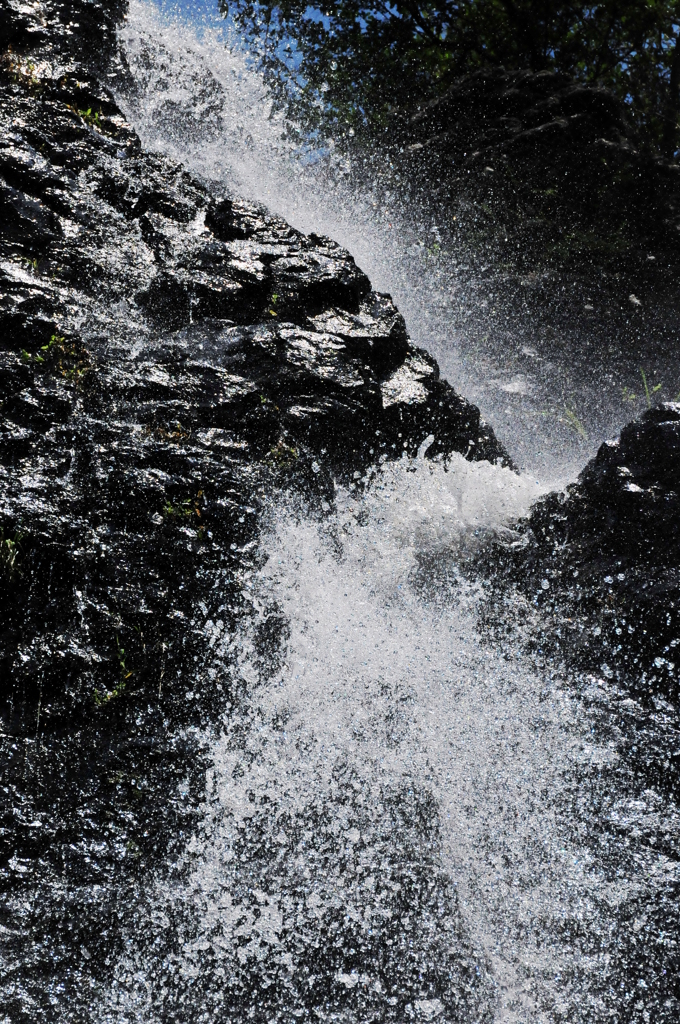 splash
