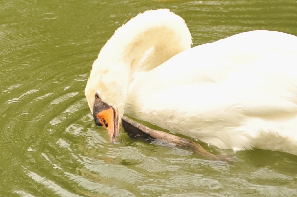 だってカユいんだもの