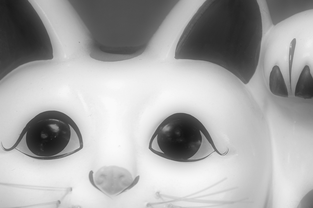 つぶら