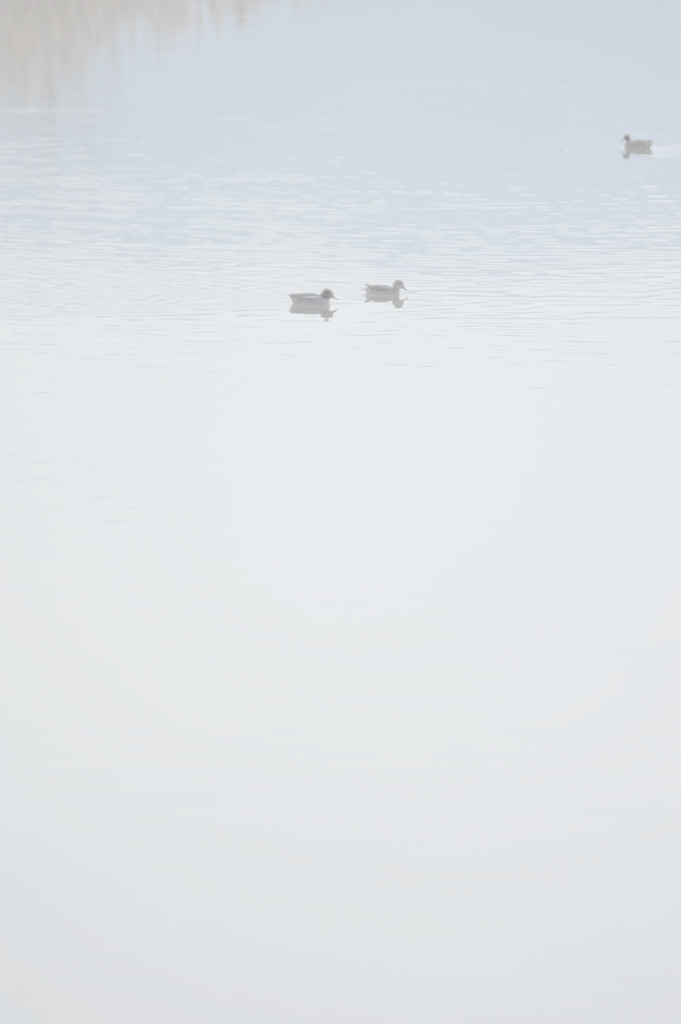 水辺