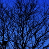 absence